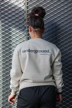 Load image into Gallery viewer, UGD Apparel Premium &#39; UNDERGROUND TRAINING CLUB &#39; Unisex Oversize Jumper In 9 Colours
